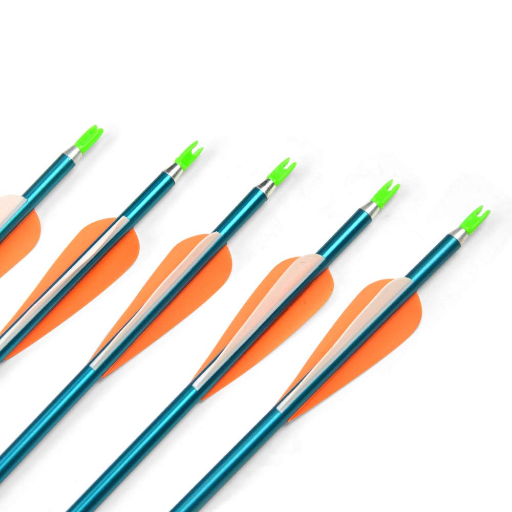 Blue SHARROW arrows deliver steady flight with reduced hand shock in practice.