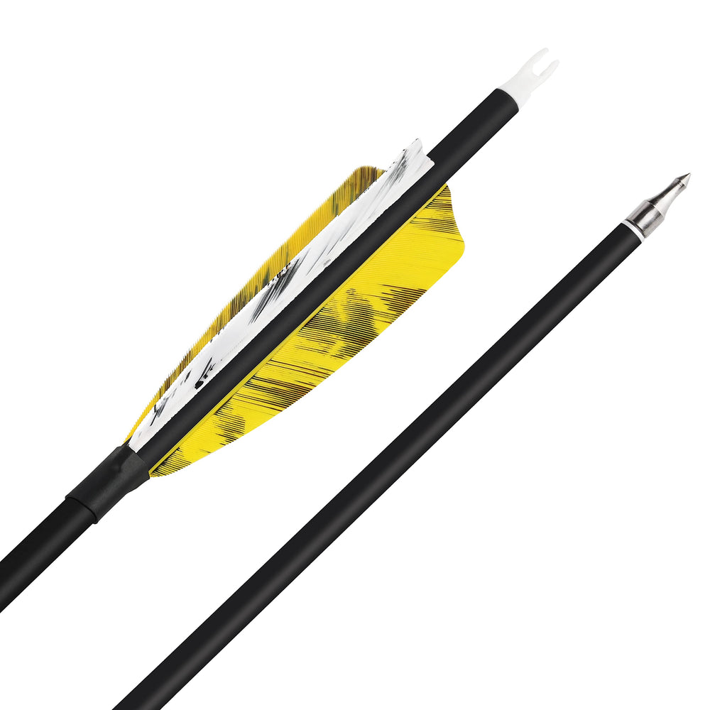 SHARROW six-arrow package ready for practice sessions