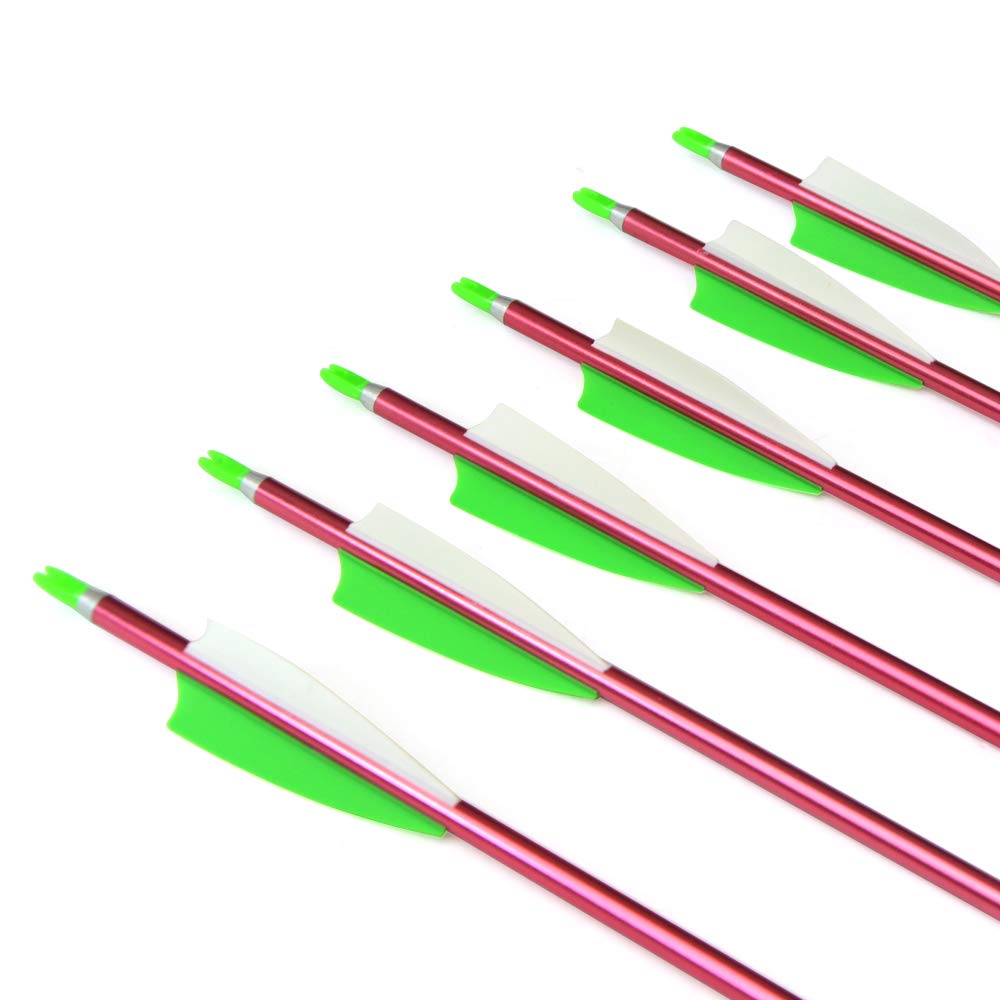 SHARROW 12-pack arrows ready for range sessions.
