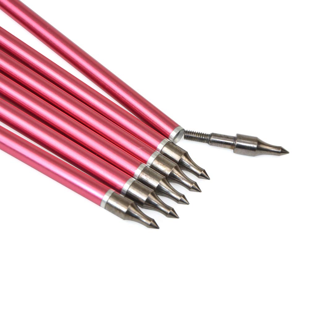 SHARROW arrow fletching detail supports stable flight.