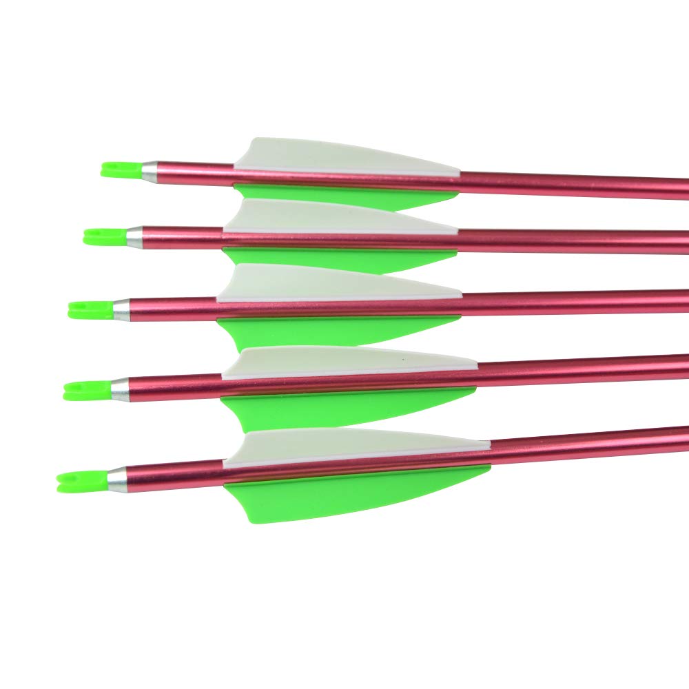 SHARROW 12-piece arrow set suitable for beginners and experienced archers
