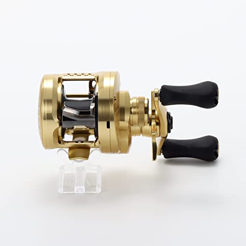 SHIMANO 21 Calcutta Conquest 200HG angler setup ideal for versatile tackle.