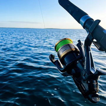 SHIMANO BAITRUNNER D drag system detail highlights instant free spool capability.