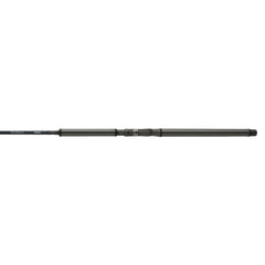 SHIMANO Beast Master EX 4-3MT 150G rod close-up emphasizes TC4 blank sensitivity for salmon.