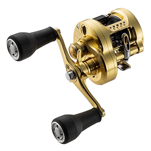 SHIMANO Calcutta Conquest MD in-use with rod demonstrates reliable casting performance.