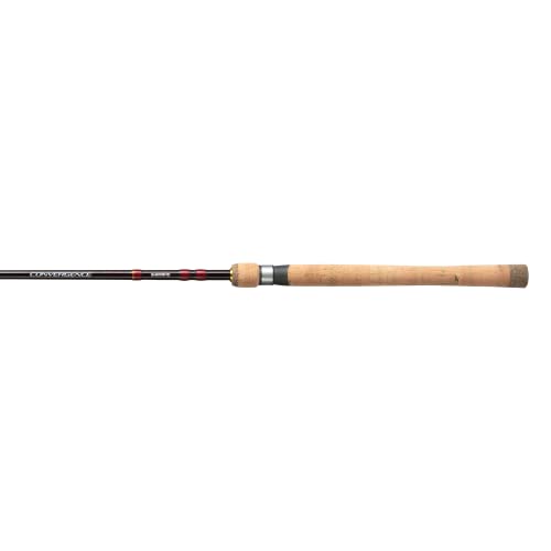 SHIMANO Conver 70M4D ready-to-fish setup for shore or boat