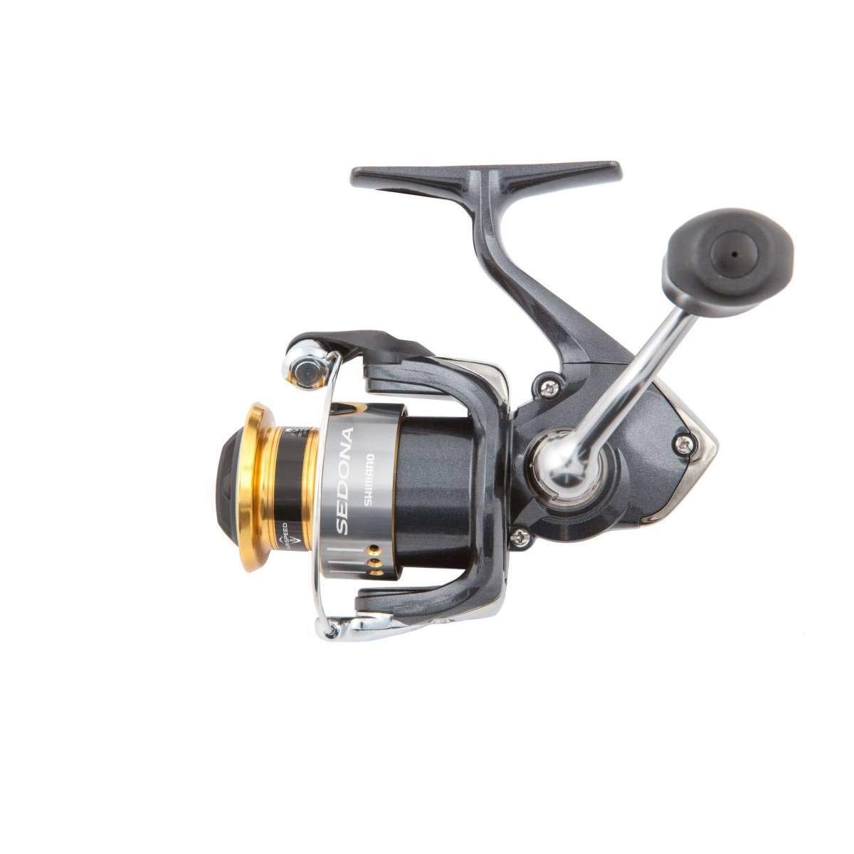Shimano Sedona 1000 FI spin reel spool close-up reveals even winding potential