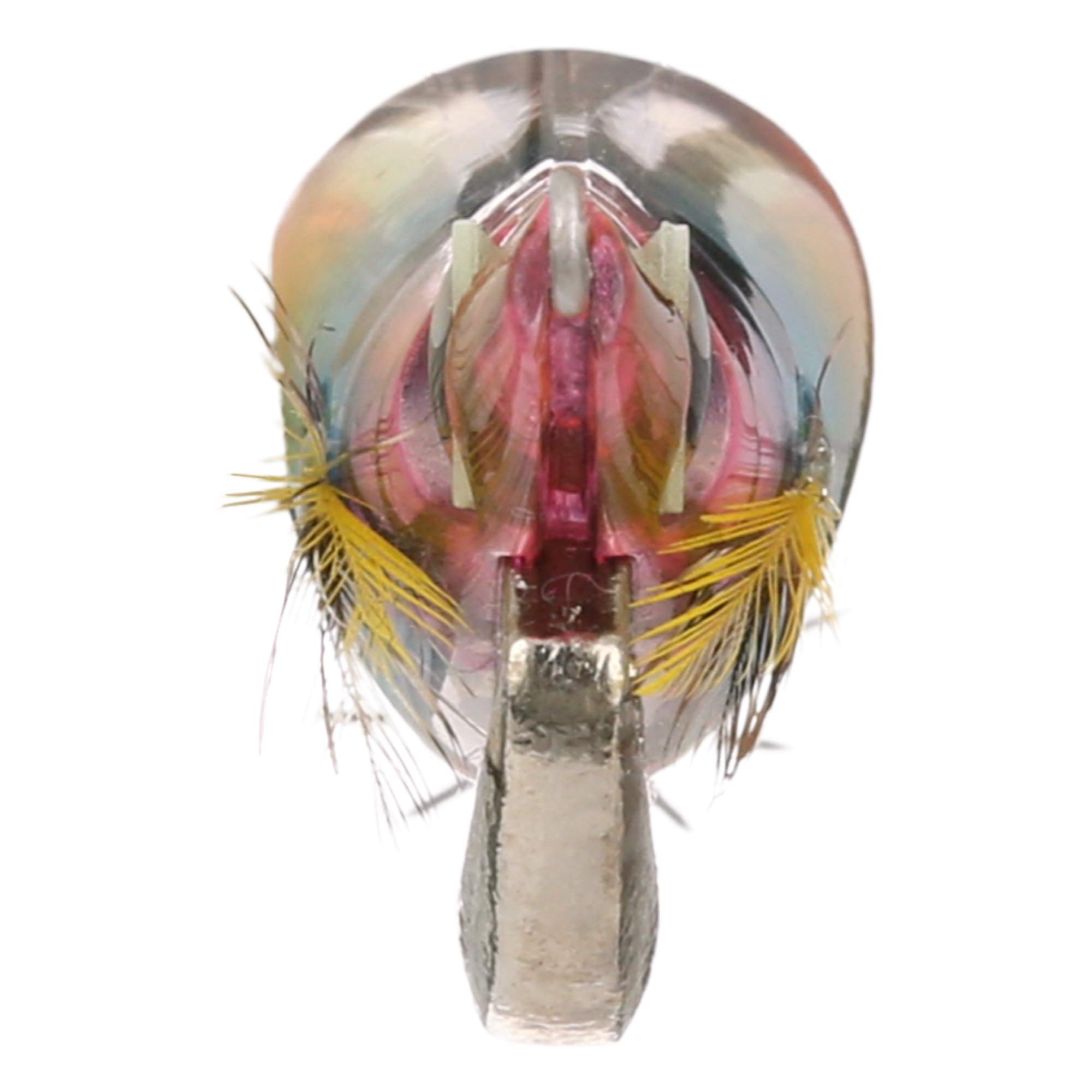 SHIMANO Sephia Clinch 2.5 FB foil close-up emphasizing reflective flash capability