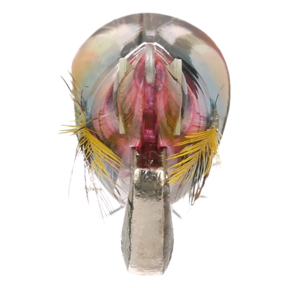 SHIMANO Sephia Clinch 2.5 FB foil close-up emphasizing reflective flash capability