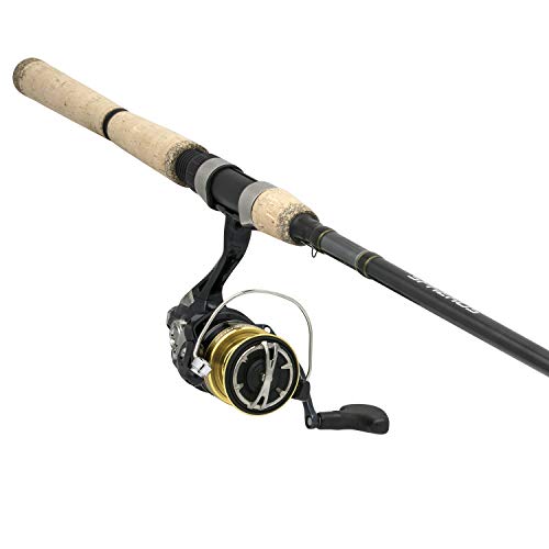 Shimano Spheros saltwater combo features S A-RB bearings for protected, reliable rotation.