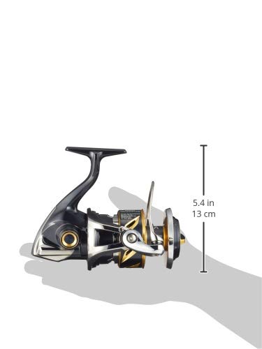 Shimano Stella SW 14000XG reel body image conveys robust build and saltwater readiness.