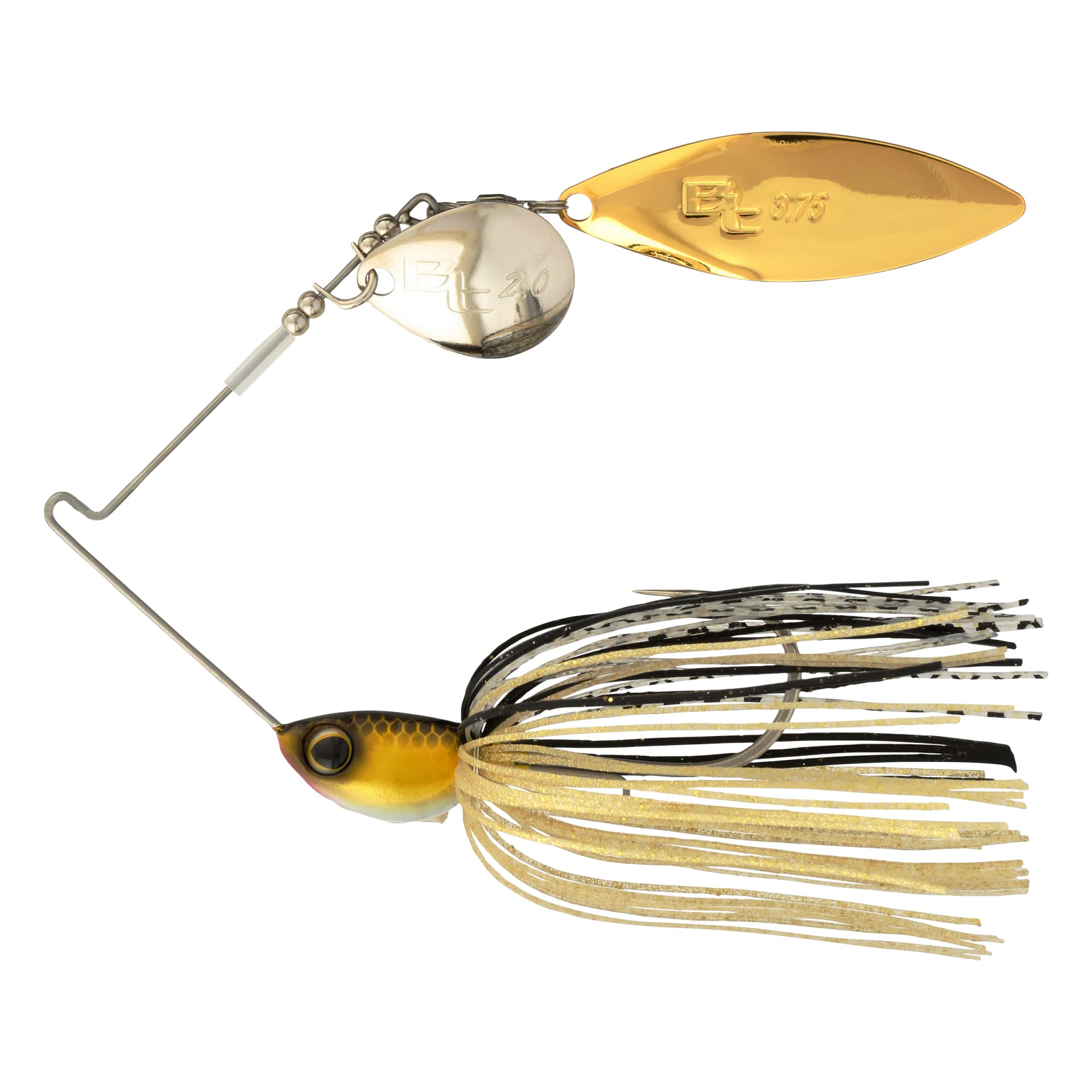 SHIMANO SWAGSTW38BG front view showing balanced design and color