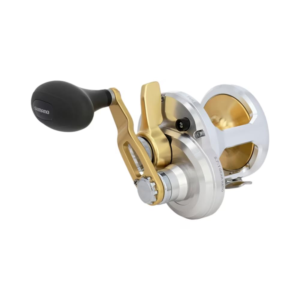 TALICA 8II in saltwater reel setup