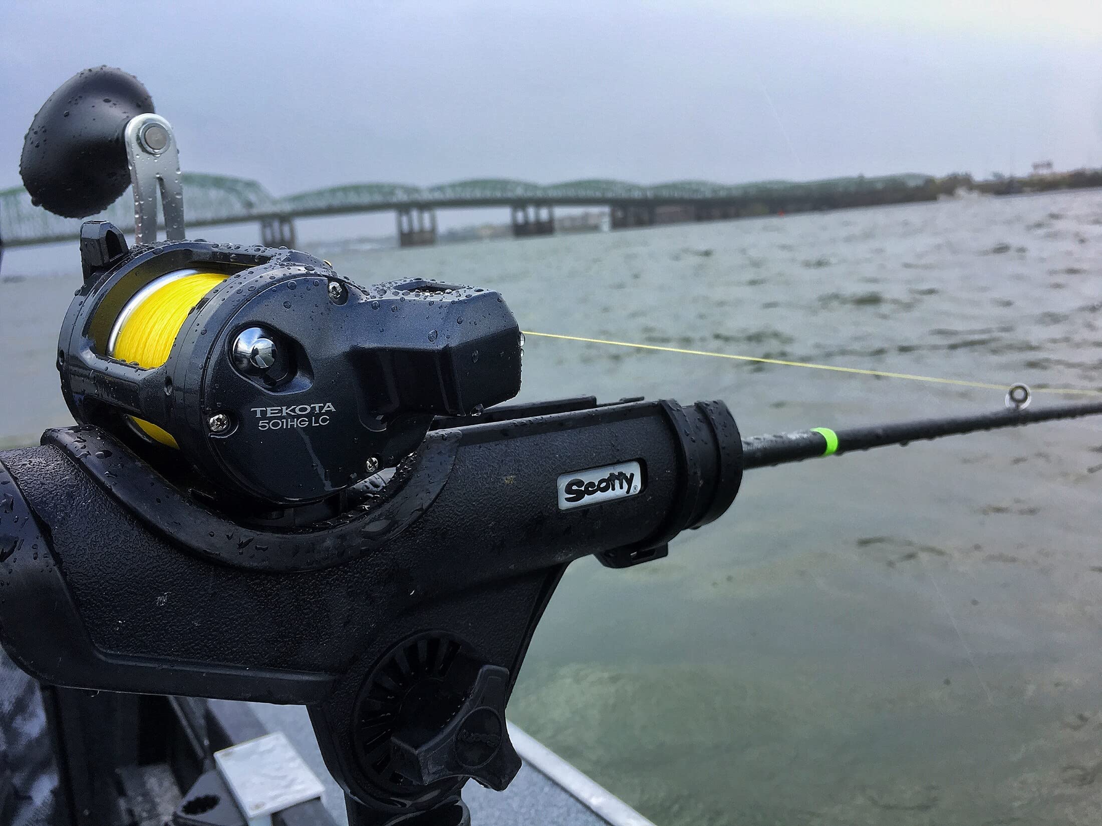 Shimano TEKOTA 800PGLCA compact profile reel ready for saltwater use