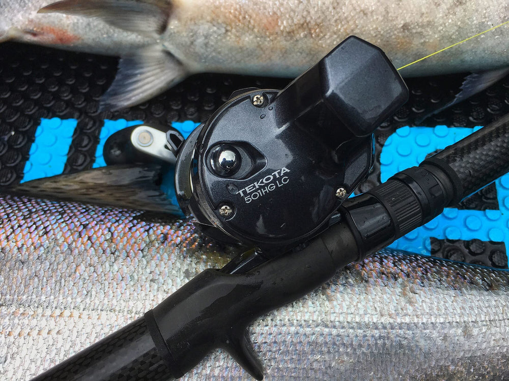 Shimano TEKOTA 800PGLCA CoreProtect seal close-up for water resistance