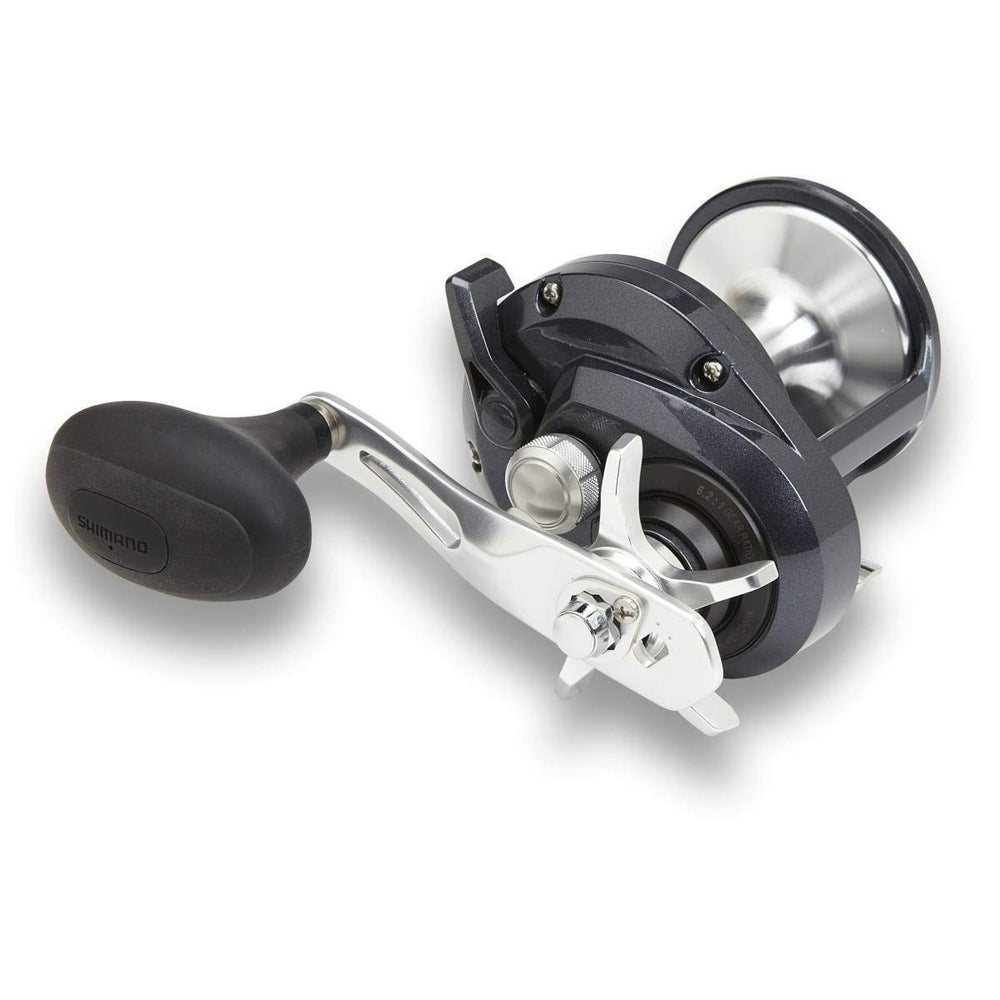 Shimano Torium saltwater fishing setup for versatile use.