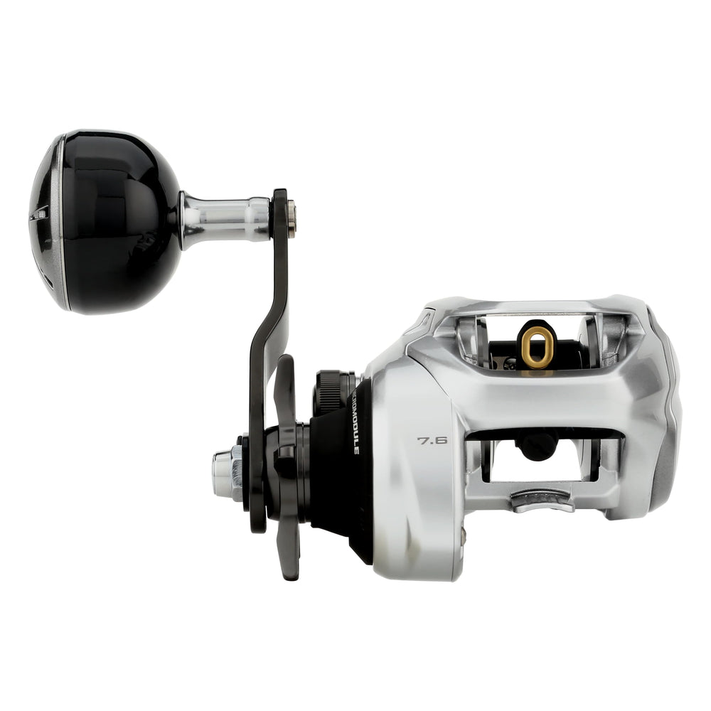 SHIMANO Tranx 300 B HAGANE body close-up for strength and precision