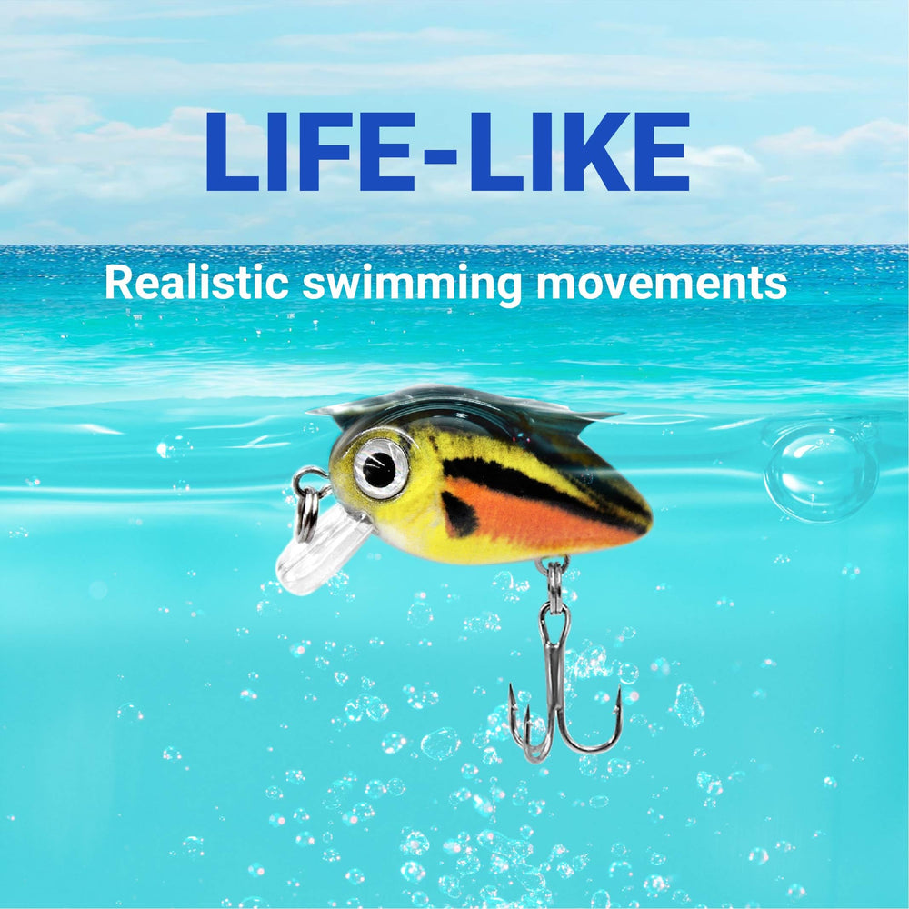 Close-up of laser pattern and lifelike fish design