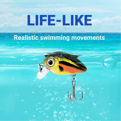 Close-up of laser pattern and lifelike fish design