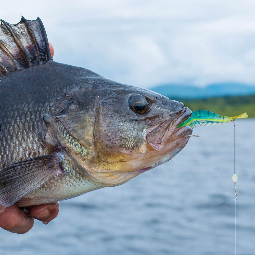 Durable soft plastic material used in the shrimp lures