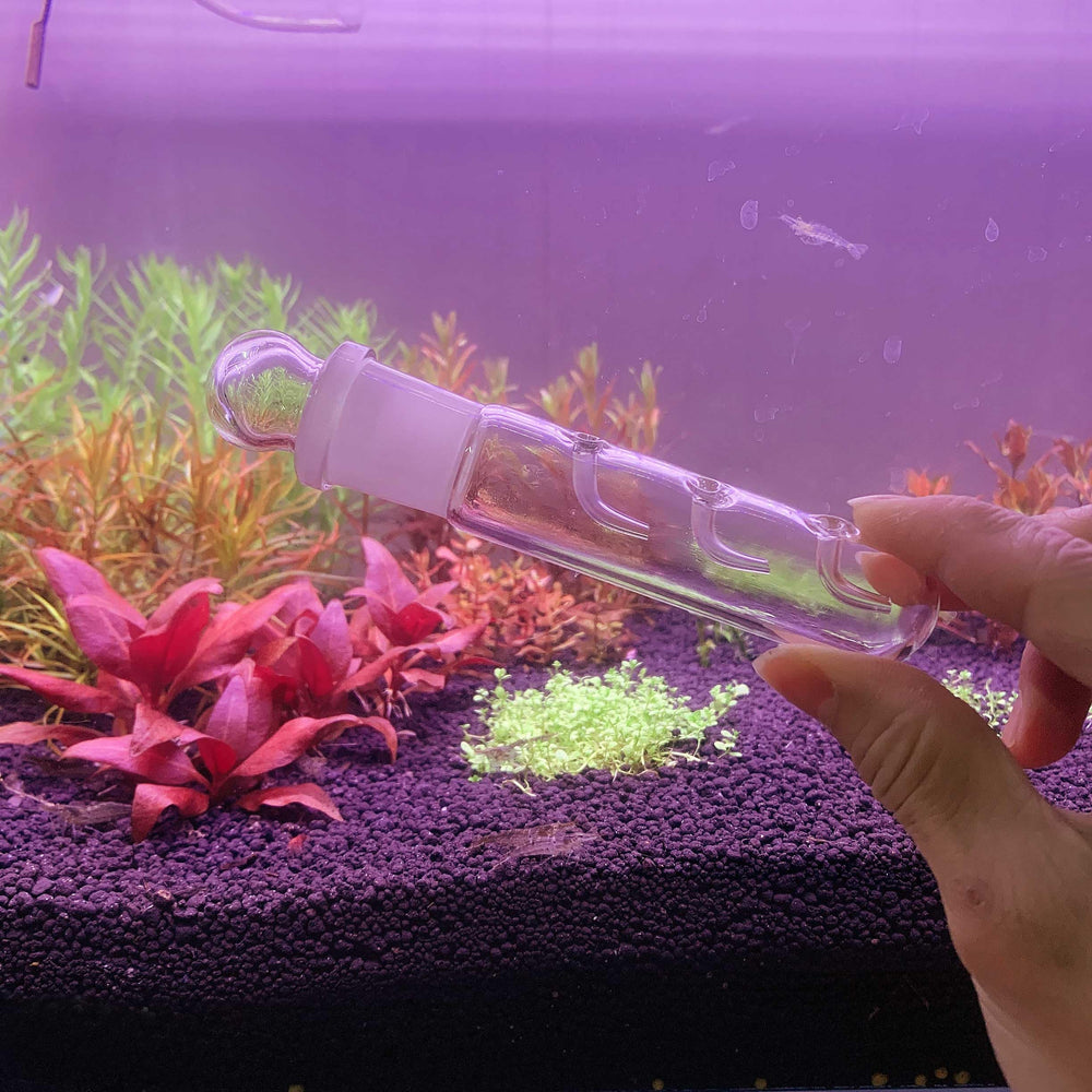 Shrimp tank pest control trap in use