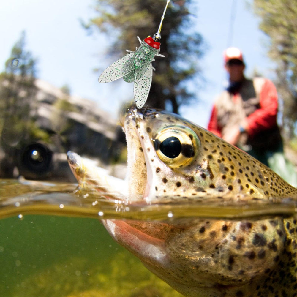 SHZONS Bionicc fly bait close-up shows lifelike details for realism