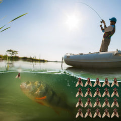 SHZONS fly fishing bait in bright colors to attract saltwater and freshwater fish