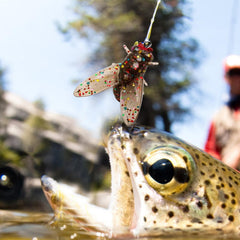 SHZONS fly hook on display highlighting strong hold during casting and striking