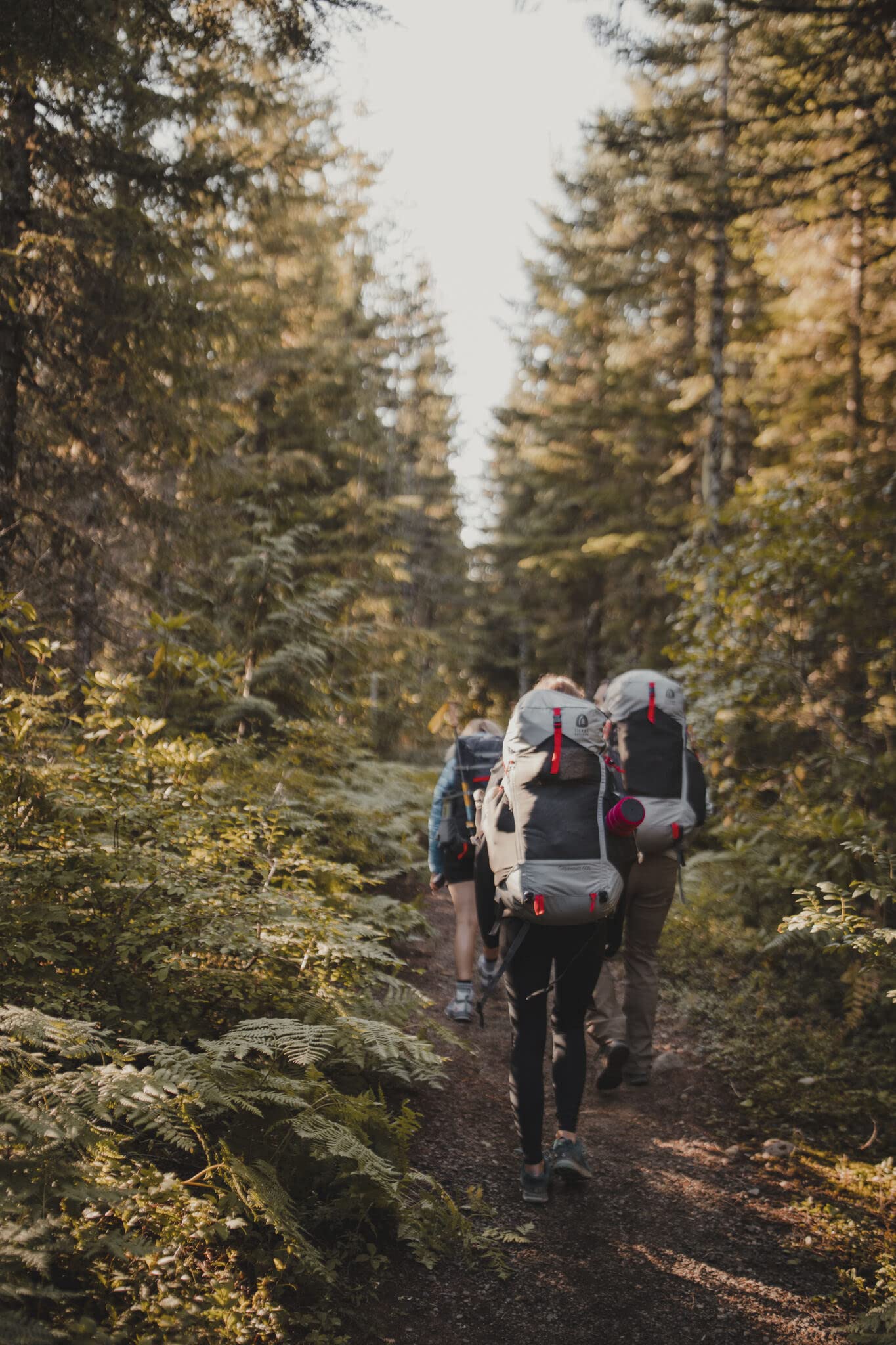 Sierra Designs Gigawatt 60L ideal for hiking, camping, and travel adventures.