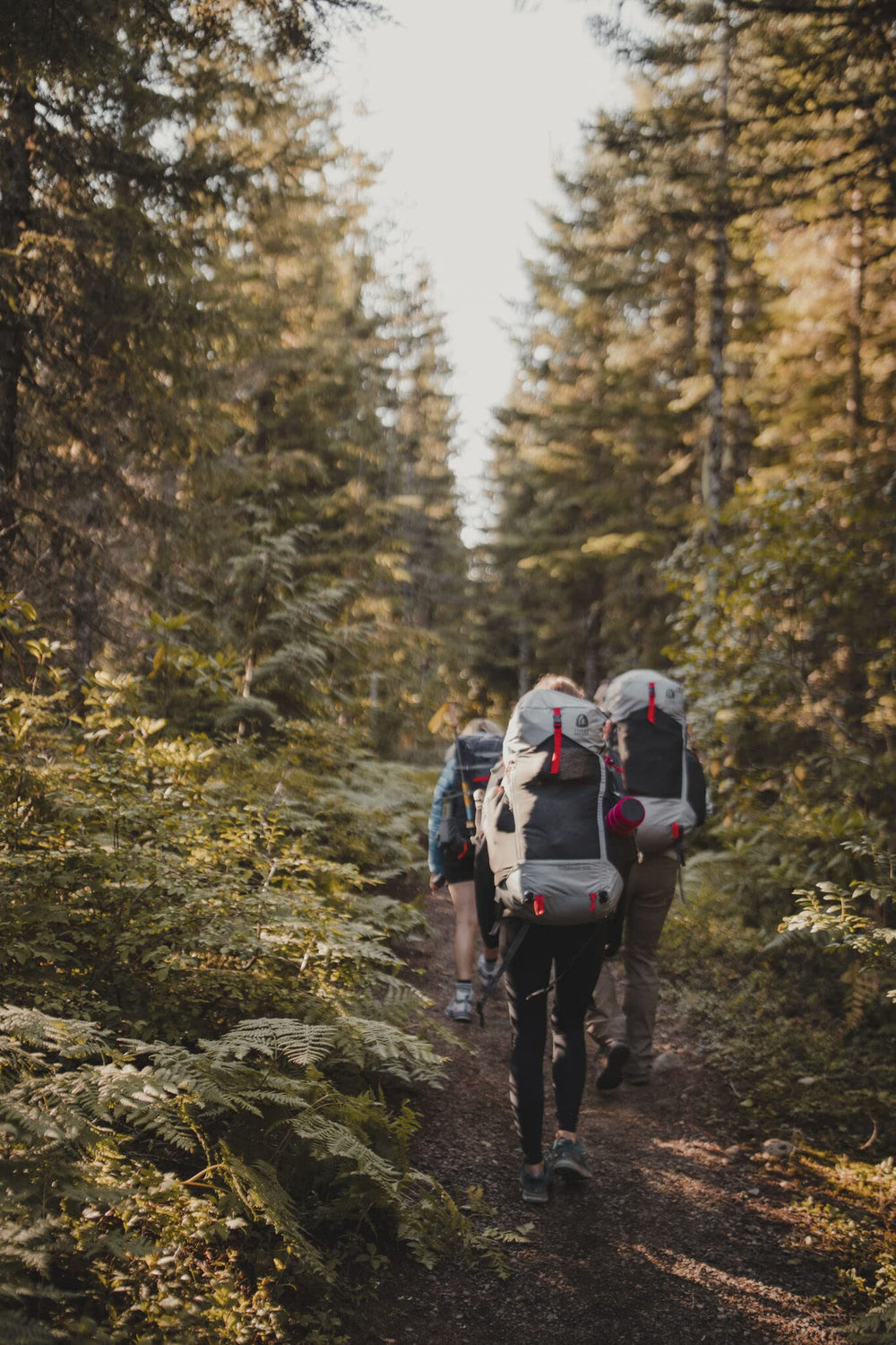 Sierra Designs Gigawatt 60L ideal for hiking, camping, and travel adventures.