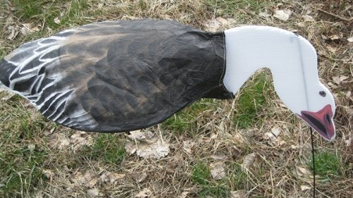 Sillosocks Blue Goose Feeder Decoy in brown with wind-stable lifelike head for goose hunting