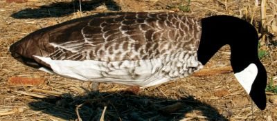 Sillosocks Canada Goose Windsock Decoy SS1081 for an easy, realistic waterfowl lure.