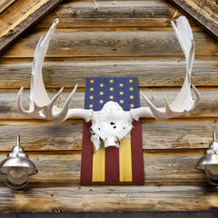 Sintuff 42x20 cm deer mount emphasizes a prominent antler centerpiece
