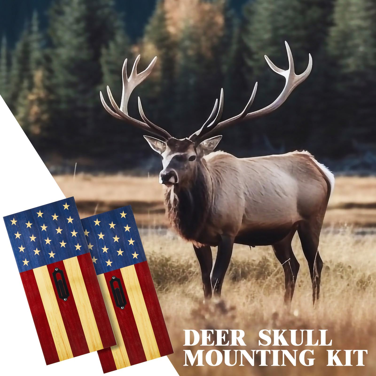 Sintuff Independence Day gift idea for Americana enthusiasts