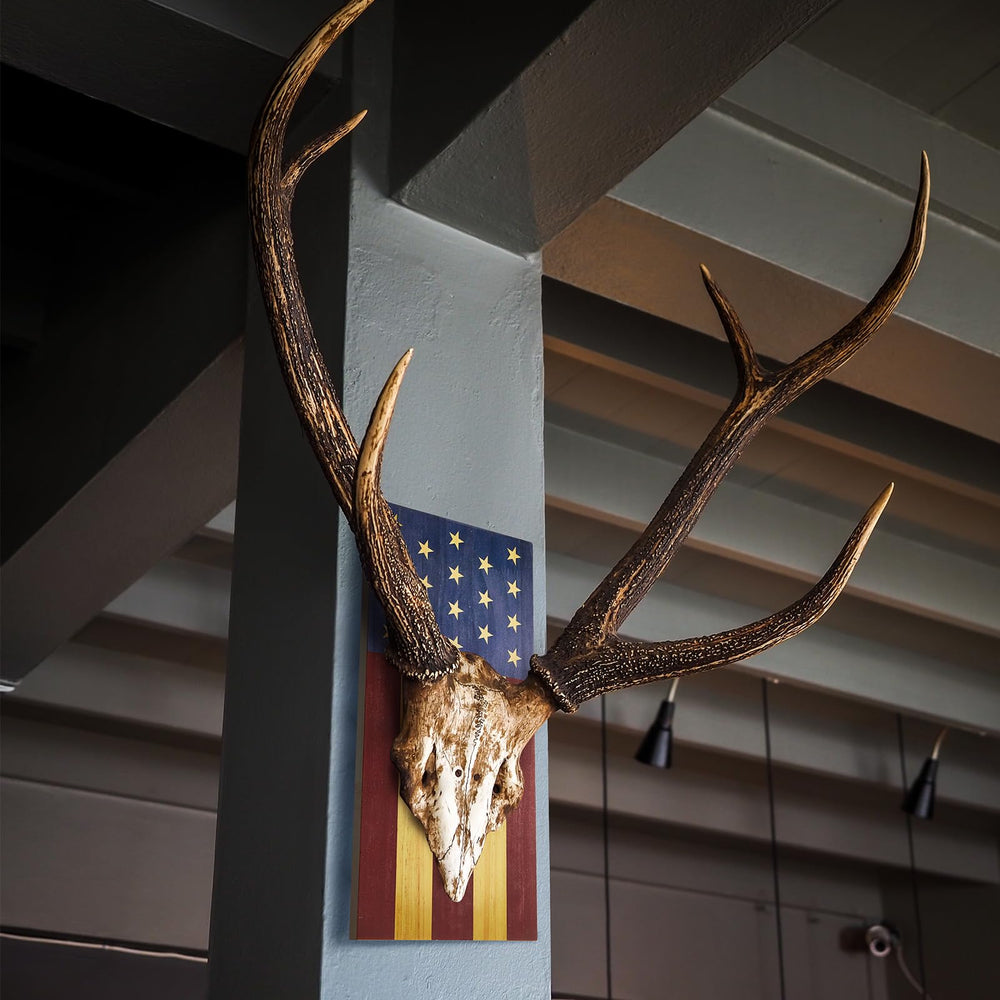 Sintuff bar or restaurant display enhances rustic ambiance