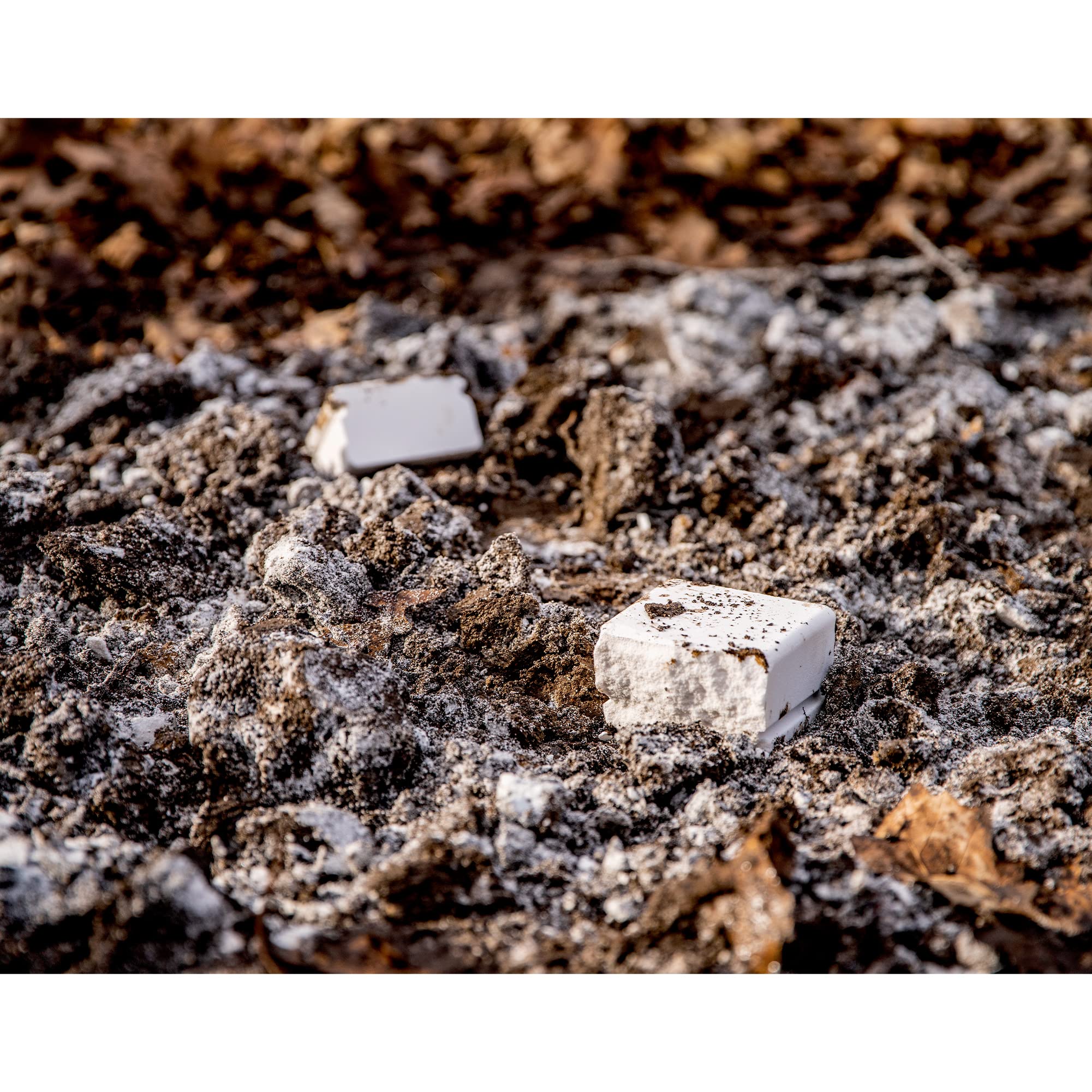 Site selection tip: shaded area near deer crossings