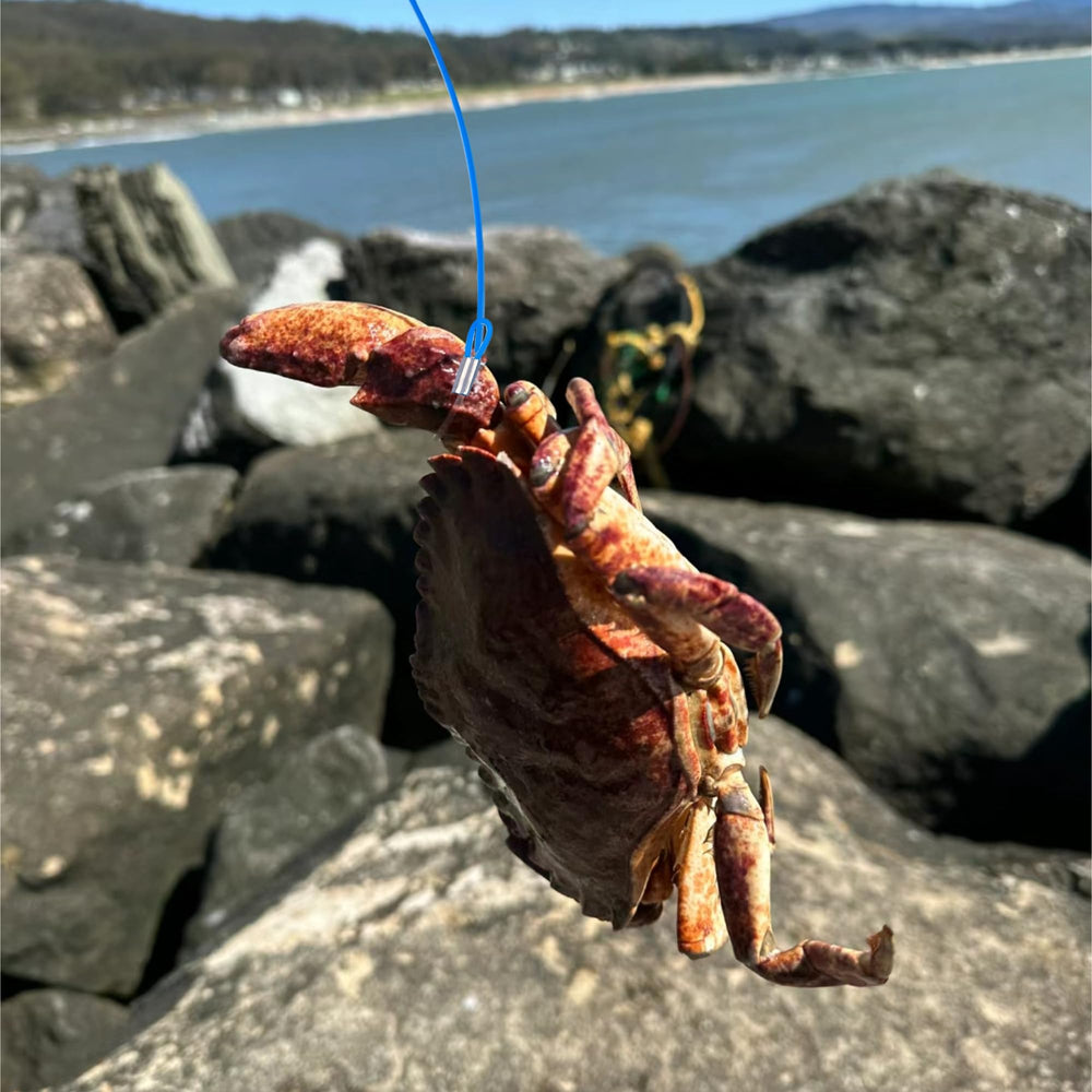 Crab trap ready for beach, pier, or dock casting