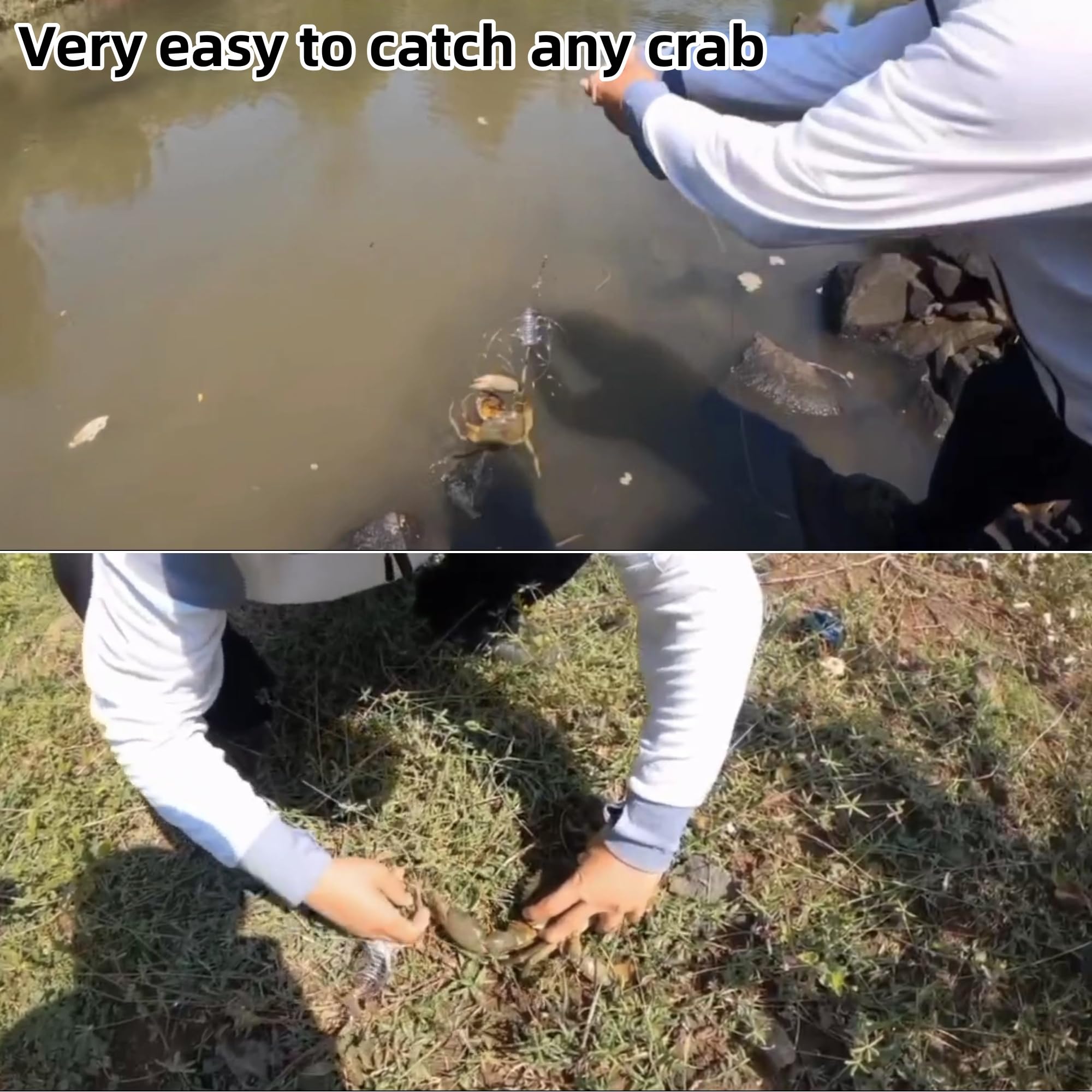 SIWRDTG 10-loop cylindrical crab trap – side view