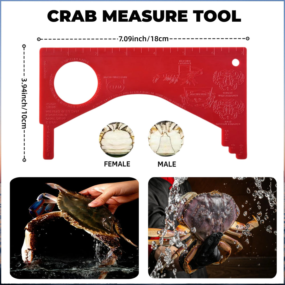 Crab measuring ruler included with SIWRDTG kit