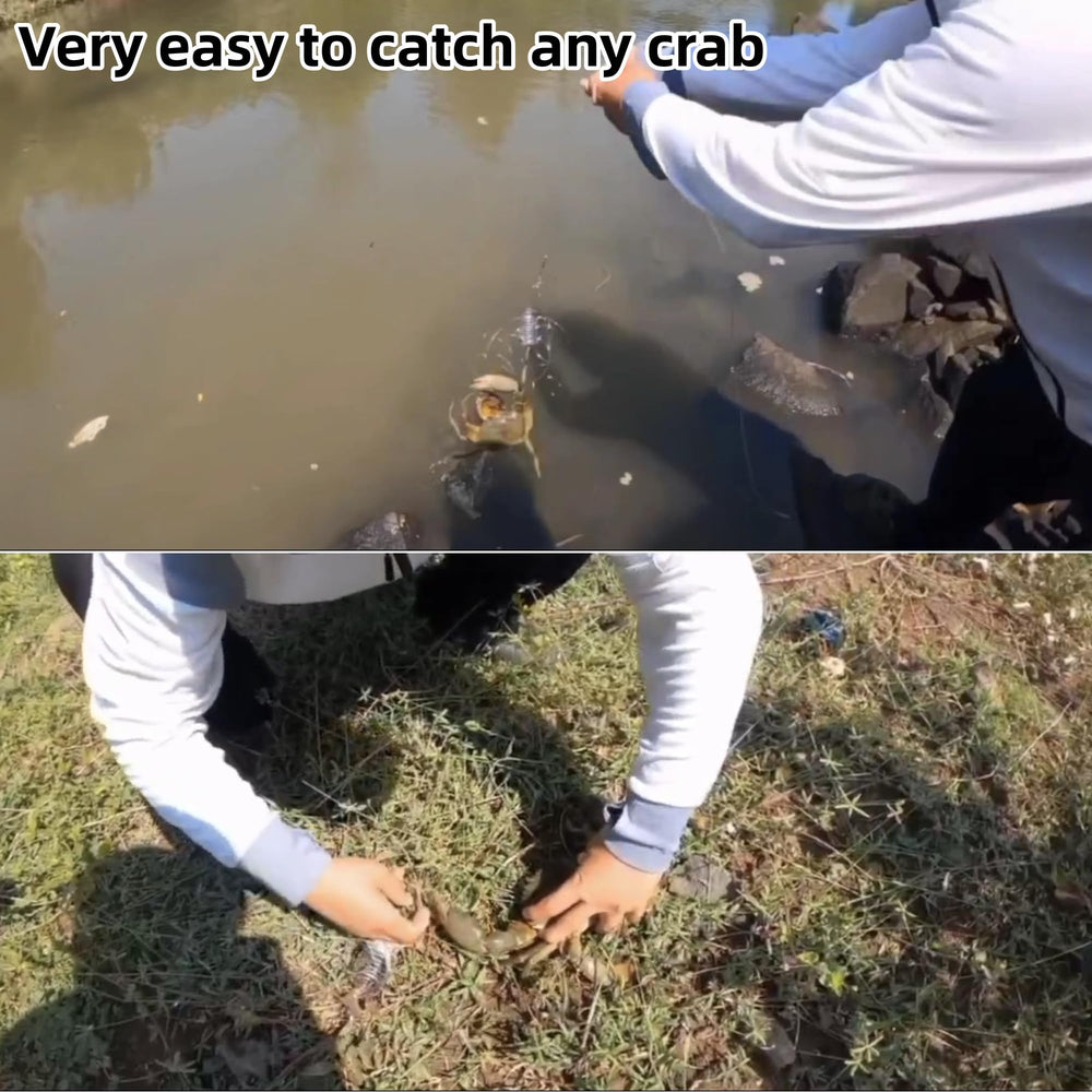 Close-up of the 10-loop crab trap with transparent bait cage