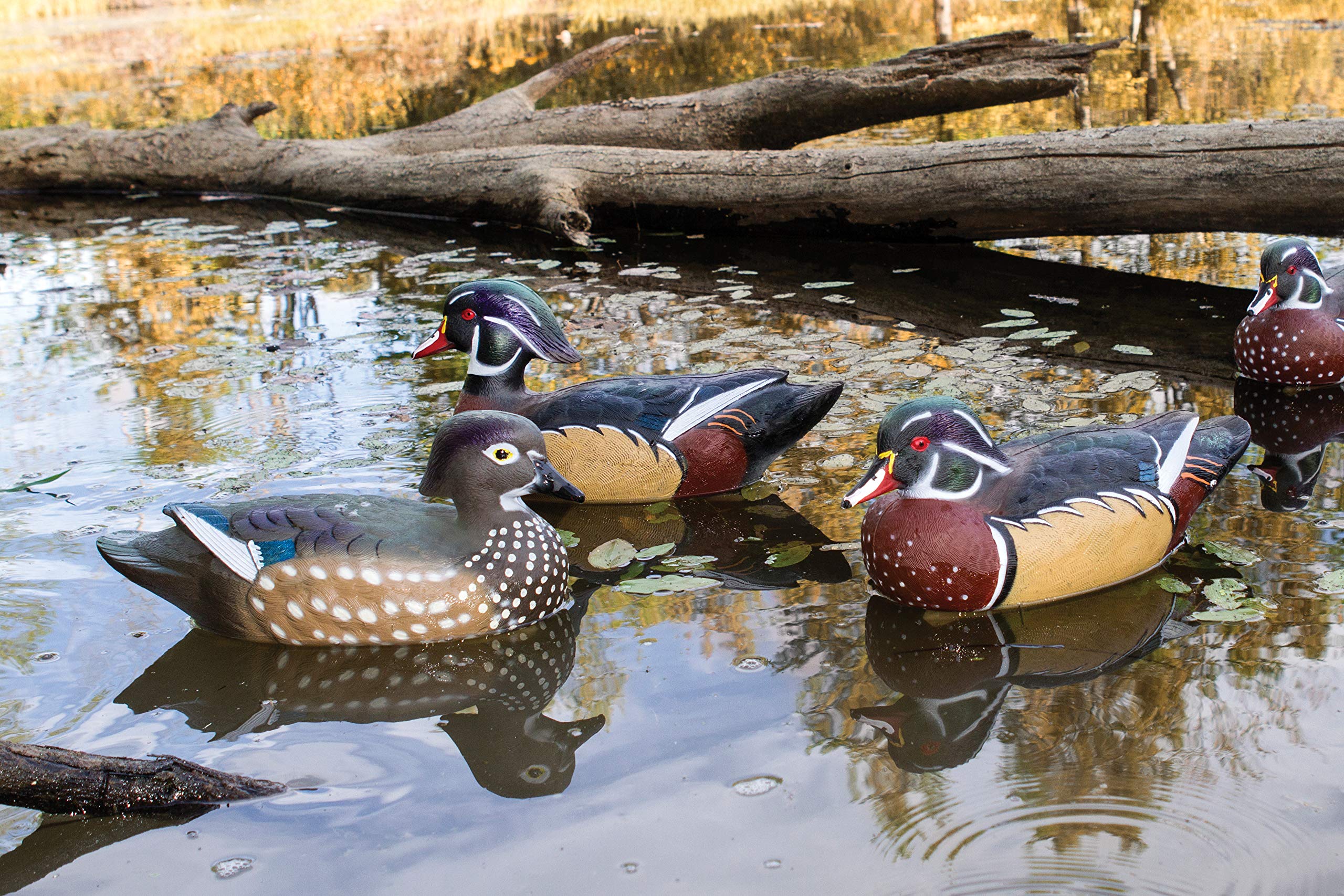 6-pack includes 2 active drakes, 2 resting drakes, and 2 semi-active hens