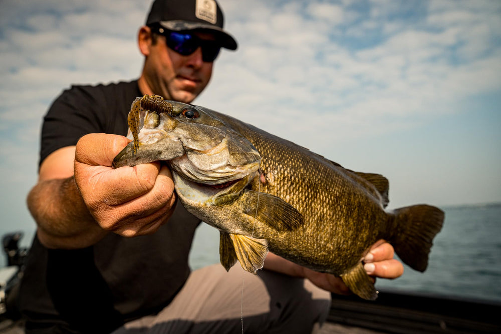 Sixth Sense BFS bundle Ned plastics excel in finesse retrieves on clear-water days.