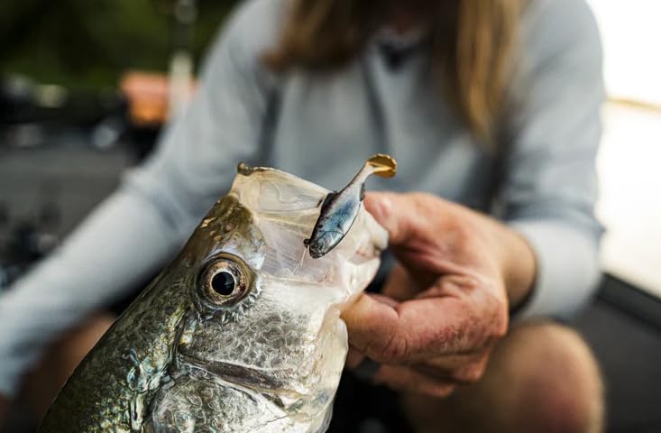 Sixth Sense BFS bundle spinner baits offering versatile speed and splash.