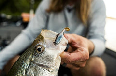 Sixth Sense BFS bundle spinner baits offering versatile speed and splash.