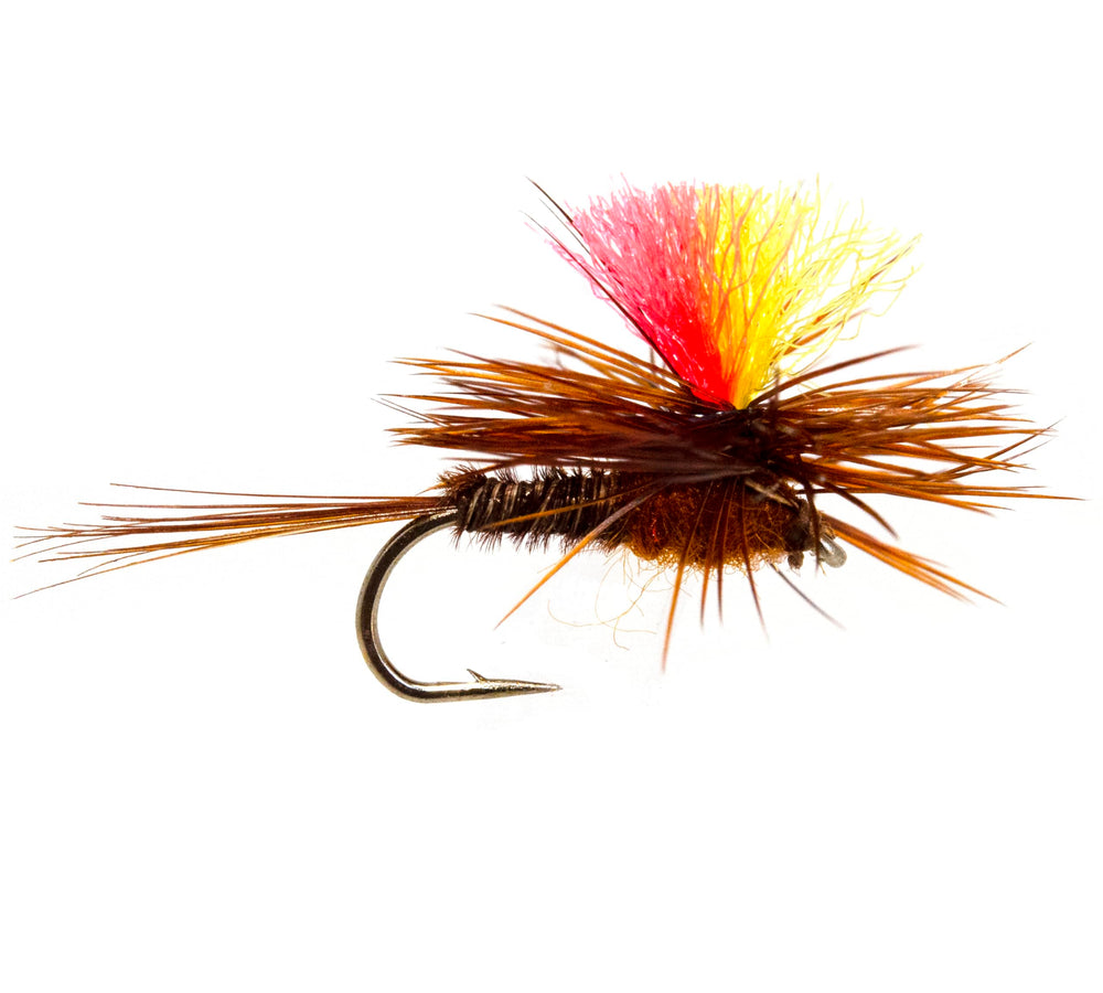 Fly size range from #10 to #18
