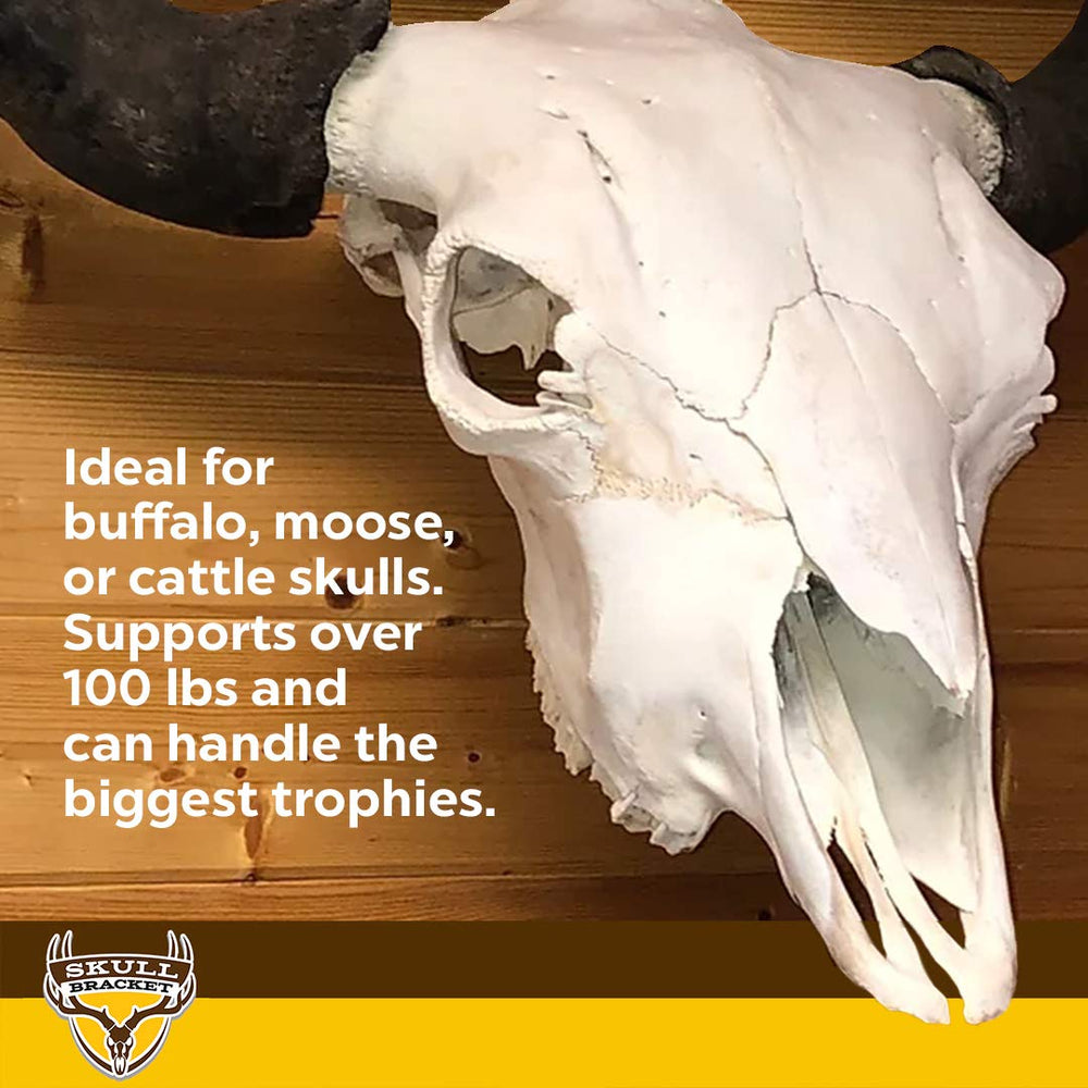 Skull Bracket Buffalo Bracket oil-rubbed bronze finish elevates decor.
