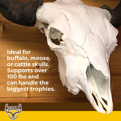 Skull Bracket Buffalo Bracket oil-rubbed bronze finish elevates decor.