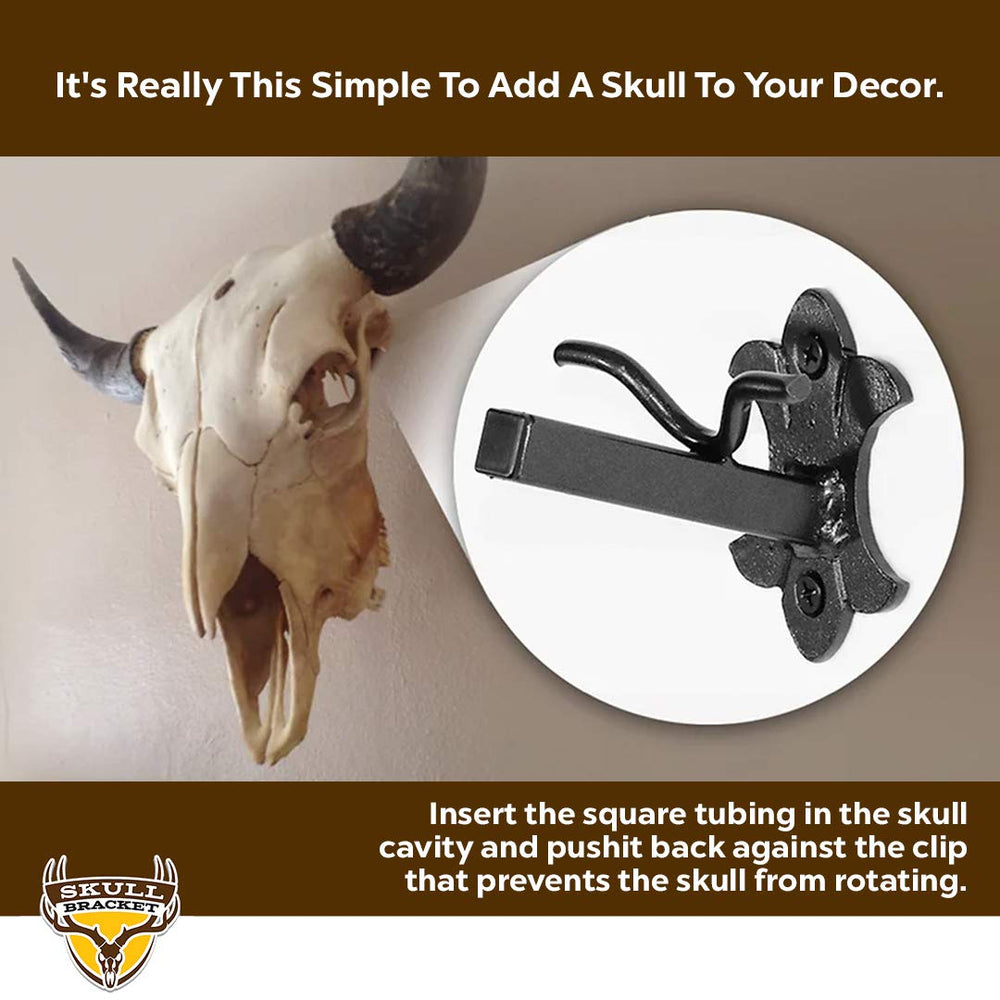 Skull Bracket Buffalo Bracket supports trophies over 100 pounds securely.