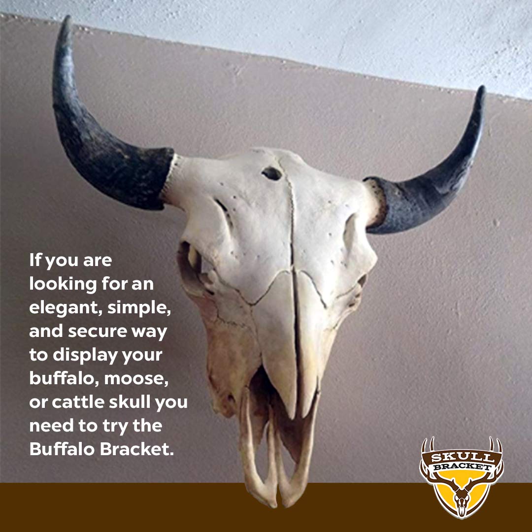 Skull Bracket Buffalo Bracket made in USA for reliable craftsmanship.