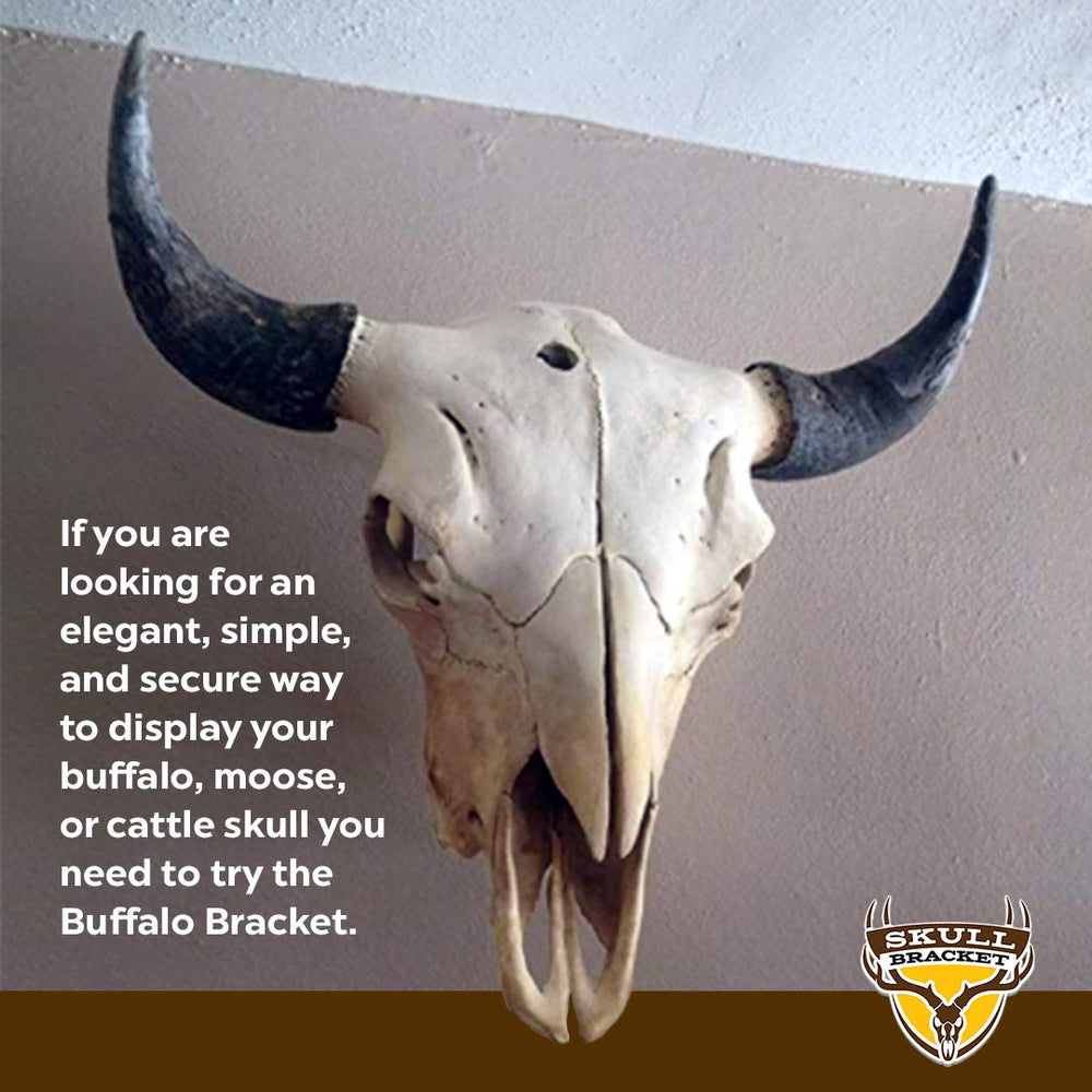 Skull Bracket Buffalo Bracket made in USA for reliable craftsmanship.
